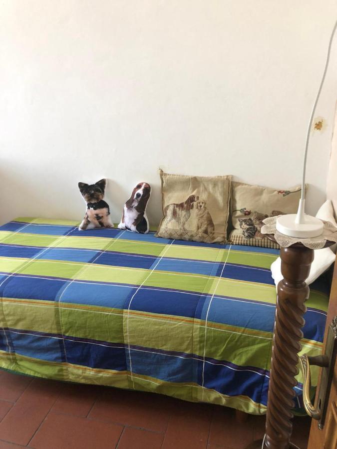 Solo Traveller Bedroom In Homestays City Center ฟลอเรนซ์ ภายนอก รูปภาพ